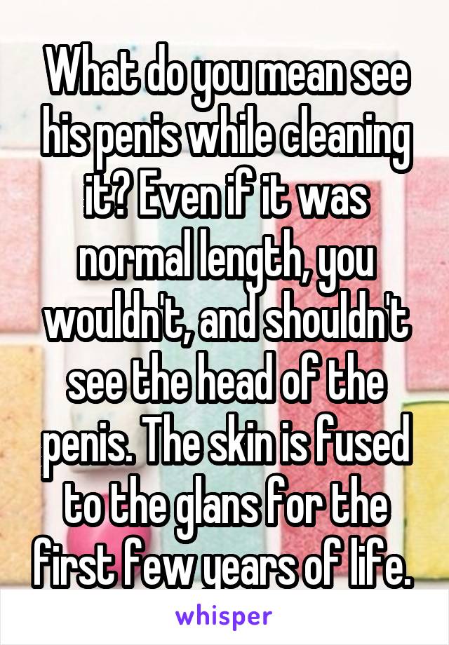 What do you mean see his penis while cleaning it? Even if it was normal length, you wouldn't, and shouldn't see the head of the penis. The skin is fused to the glans for the first few years of life. 