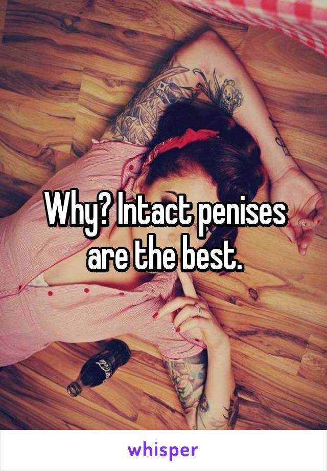 Why? Intact penises are the best.