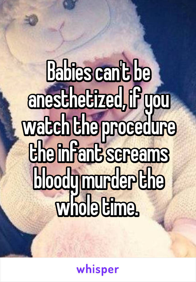 Babies can't be anesthetized, if you watch the procedure the infant screams bloody murder the whole time. 