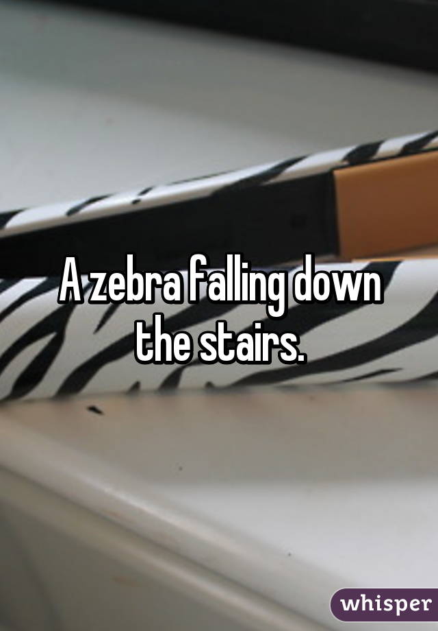 A zebra falling down the stairs.