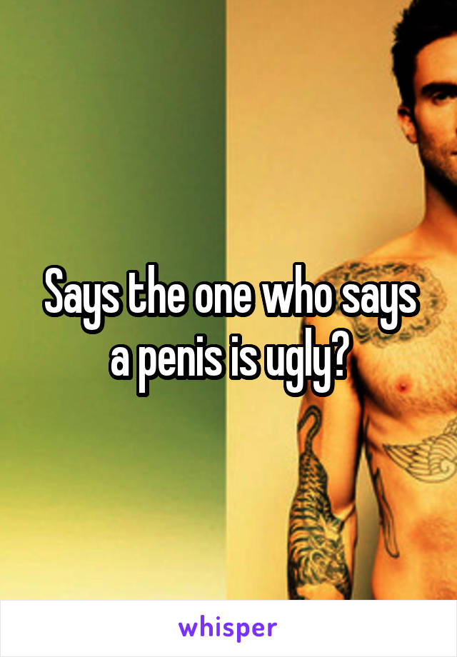 Says the one who says a penis is ugly?