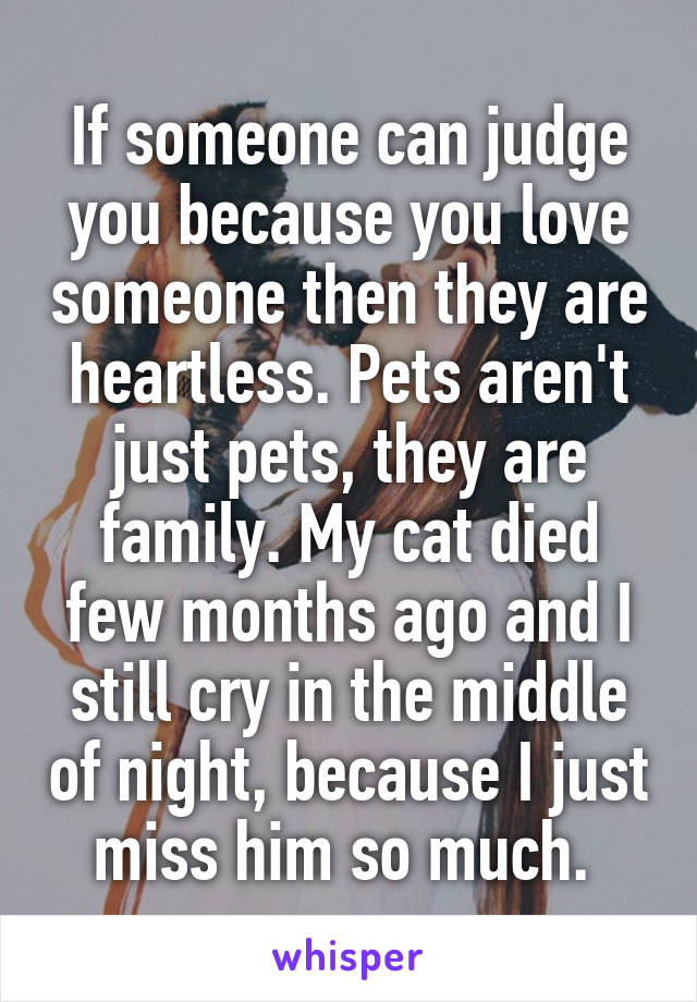 If someone can judge you because you love someone then they are heartless. Pets aren't just pets, they are family. My cat died few months ago and I still cry in the middle of night, because I just miss him so much. 