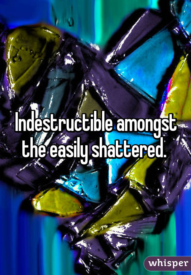 Indestructible amongst the easily shattered. 