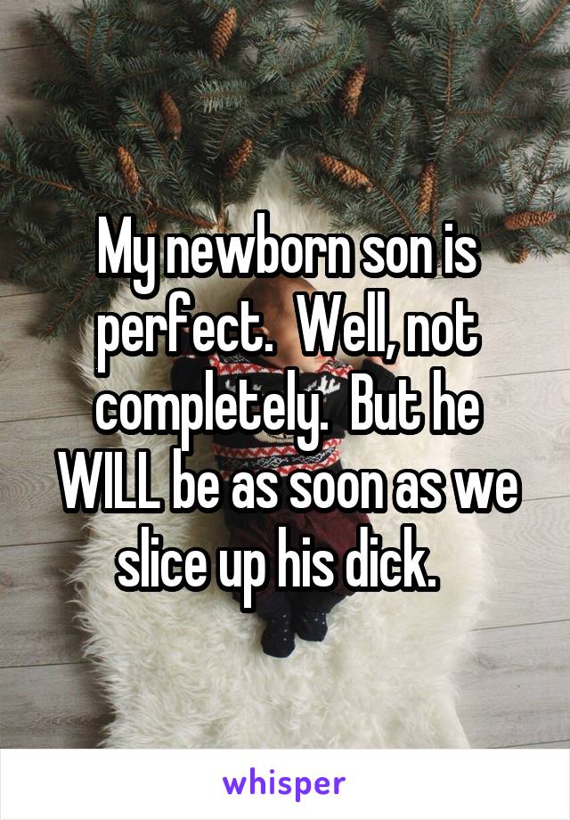 My newborn son is perfect.  Well, not completely.  But he WILL be as soon as we slice up his dick.  