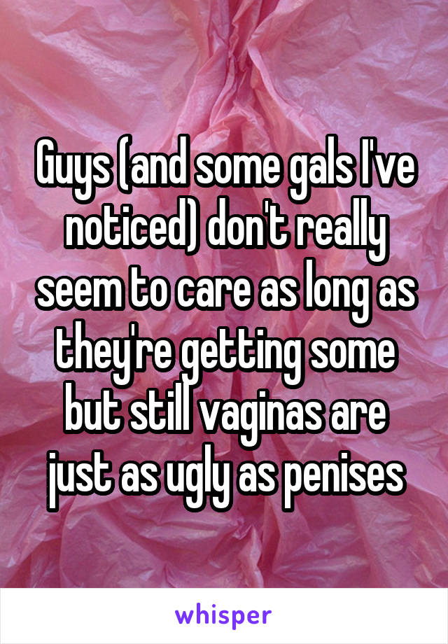 Guys (and some gals I've noticed) don't really seem to care as long as they're getting some but still vaginas are just as ugly as penises