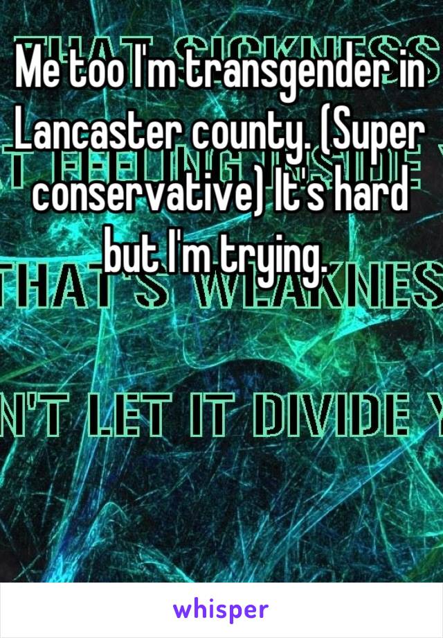 Me too I'm transgender in Lancaster county. (Super conservative) It's hard but I'm trying. 