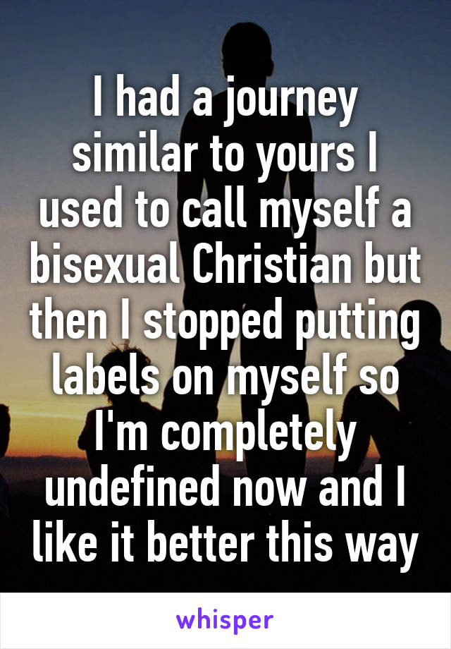 I had a journey similar to yours I used to call myself a bisexual Christian but then I stopped putting labels on myself so I'm completely undefined now and I like it better this way