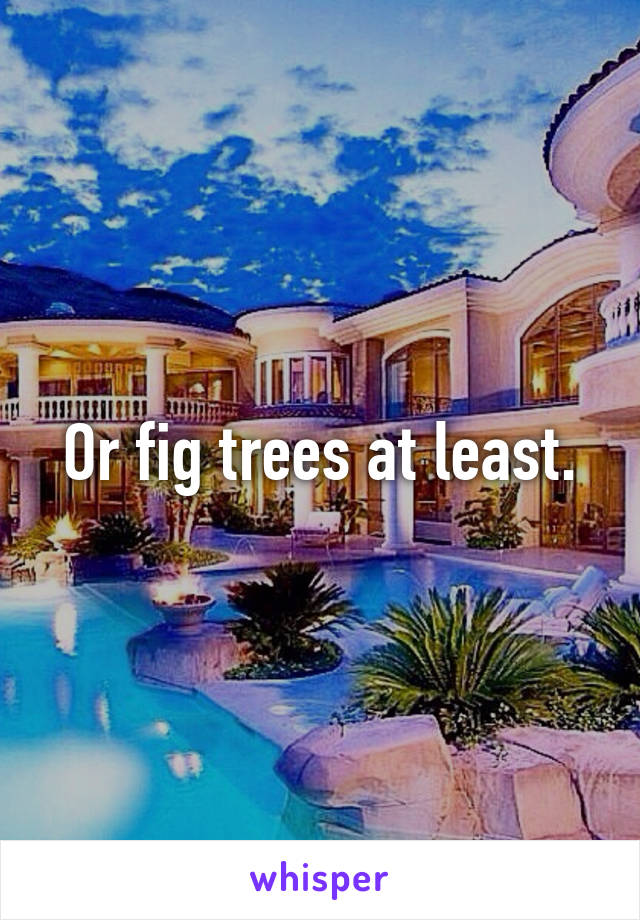 Or fig trees at least.