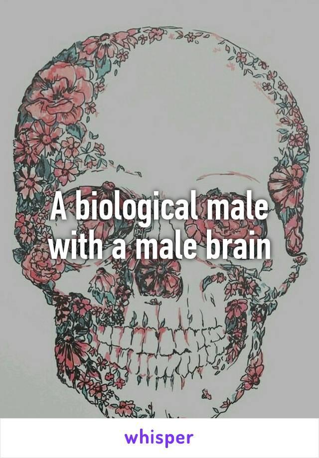 A biological male with a male brain