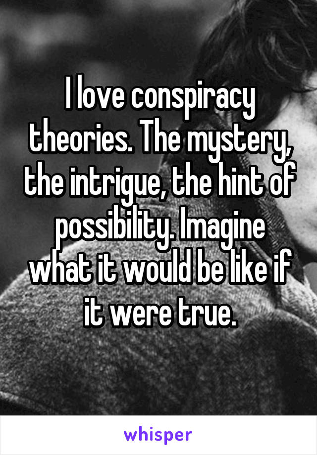 I love conspiracy theories. The mystery, the intrigue, the hint of possibility. Imagine what it would be like if it were true.
