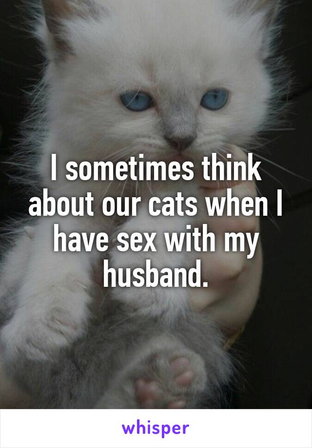 I sometimes think about our cats when I have sex with my husband.