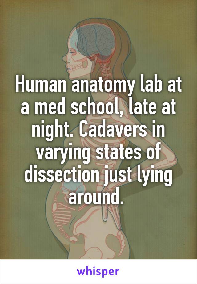 Human anatomy lab at a med school, late at night. Cadavers in varying states of dissection just lying around. 