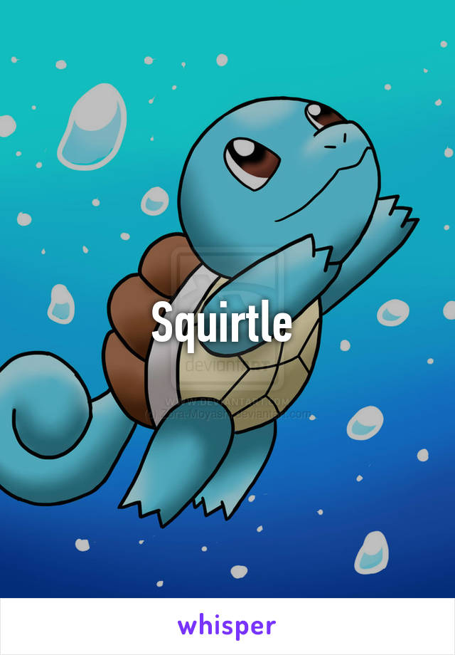 Squirtle 