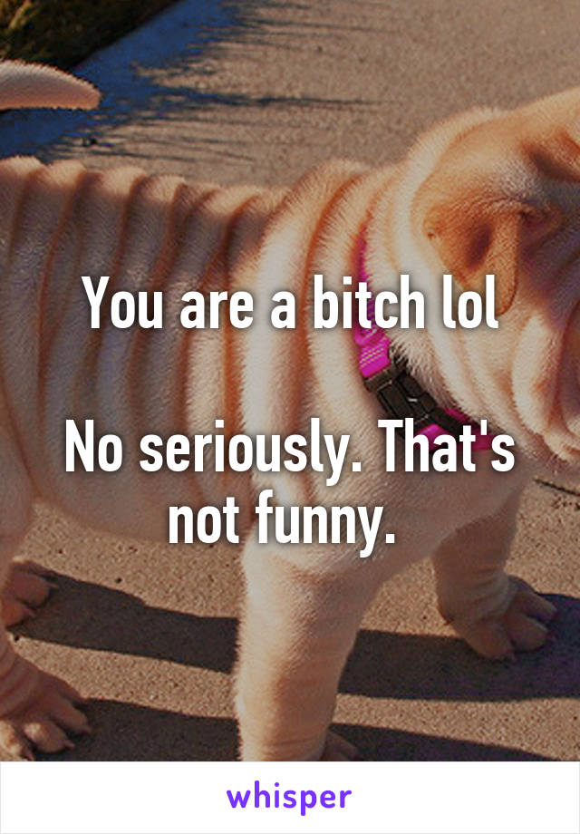 You are a bitch lol

No seriously. That's not funny. 