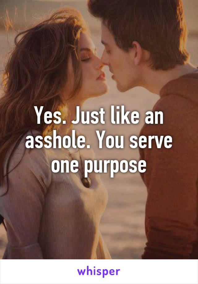 Yes. Just like an asshole. You serve one purpose