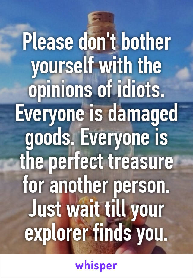 Please don't bother yourself with the opinions of idiots. Everyone is damaged goods. Everyone is the perfect treasure for another person. Just wait till your explorer finds you.