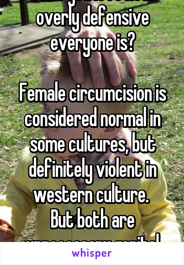 Don't you love how overly defensive everyone is?

Female circumcision is considered normal in some cultures, but definitely violent in western culture. 
But both are unnecessary genital mutilation :P