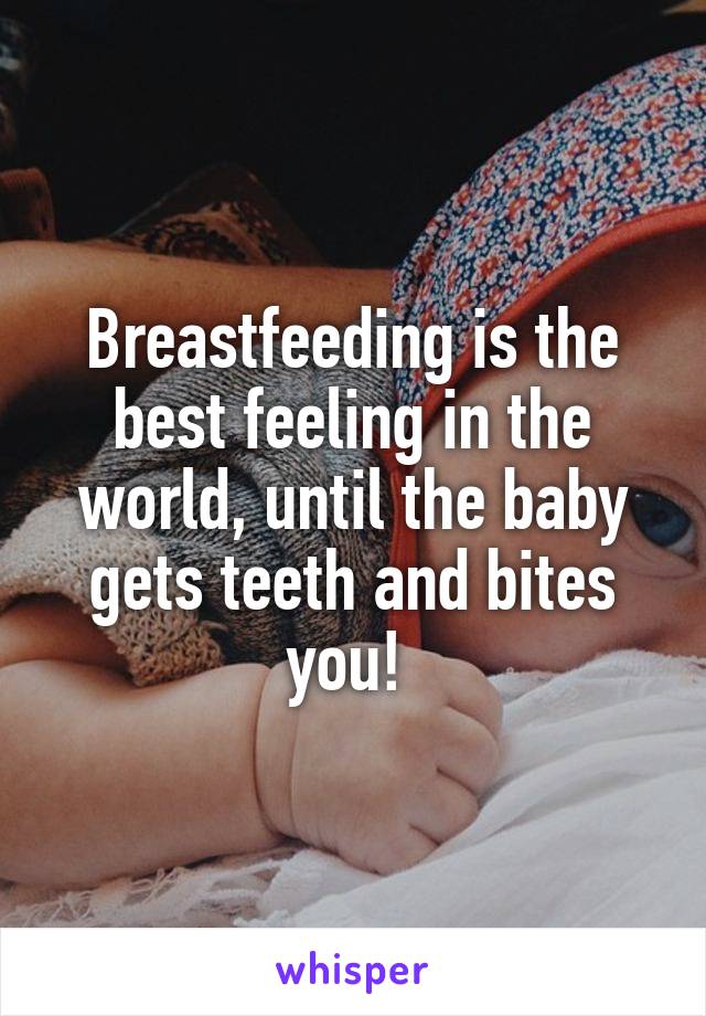 Breastfeeding is the best feeling in the world, until the baby gets teeth and bites you! 