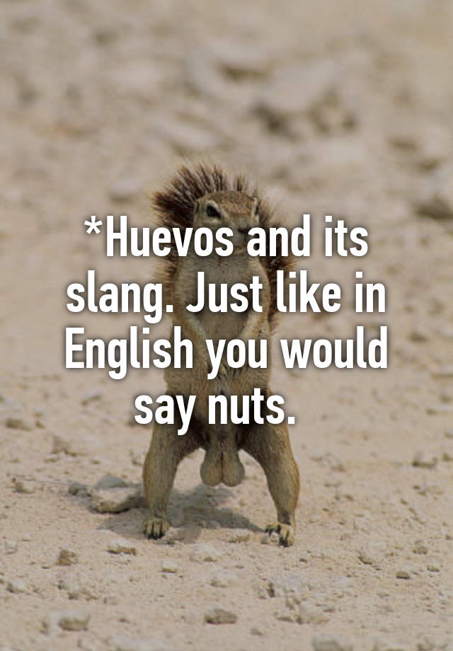 huevos-and-its-slang-just-like-in-english-you-would-say-nuts