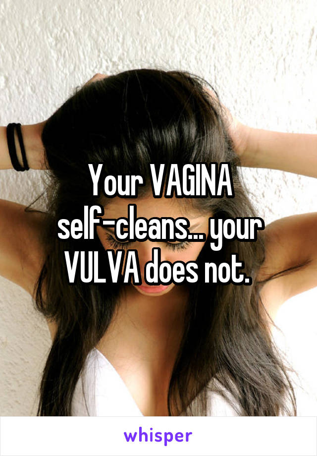 Your VAGINA self-cleans... your VULVA does not. 