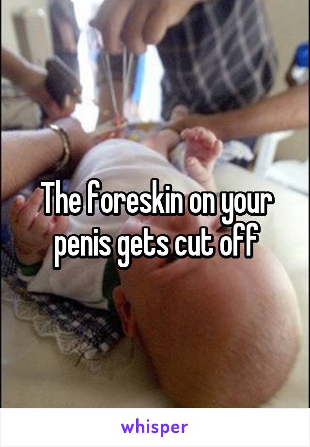 The foreskin on your penis gets cut off