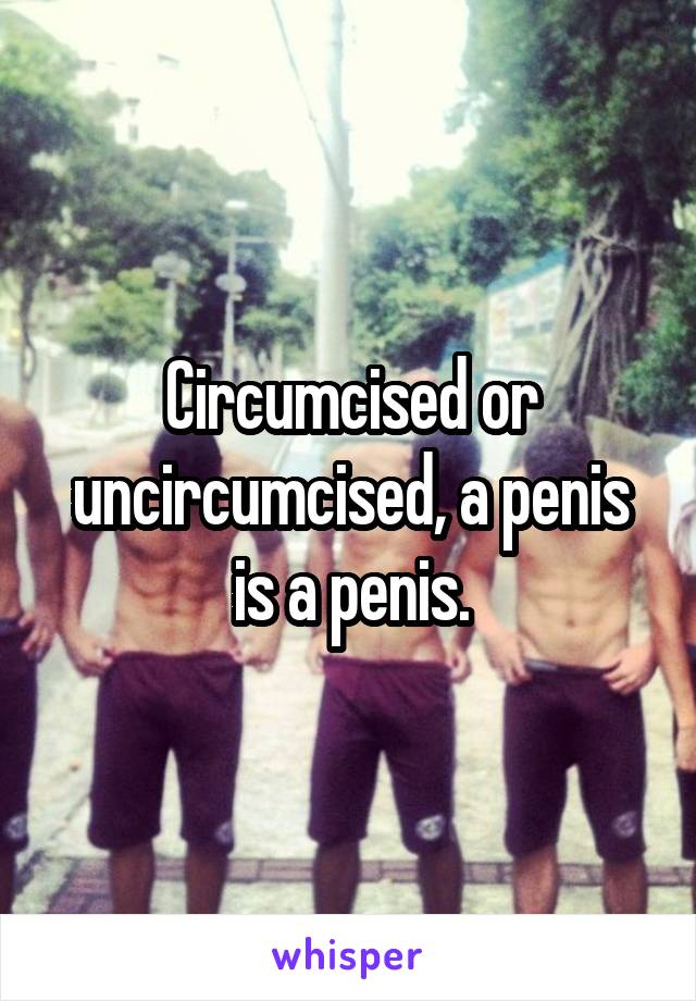 Circumcised or uncircumcised, a penis is a penis.