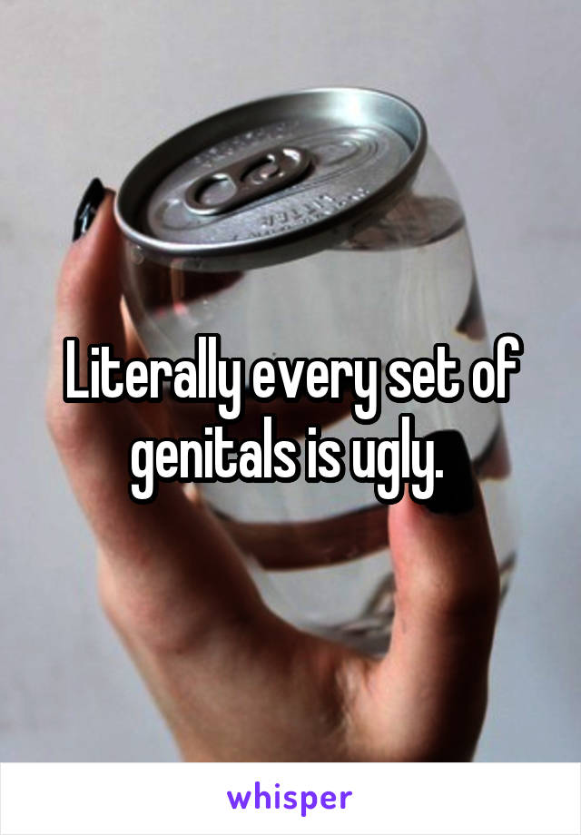 Literally every set of genitals is ugly. 