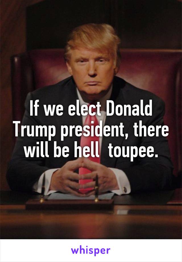 If we elect Donald Trump president, there will be hell  toupee.