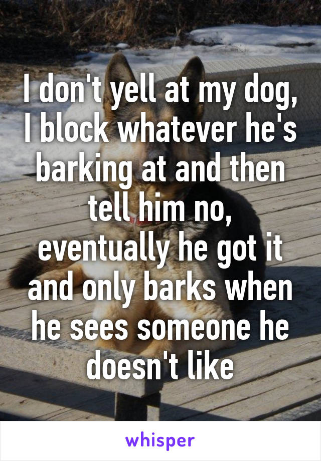 I don't yell at my dog, I block whatever he's barking at and then tell him no, eventually he got it and only barks when he sees someone he doesn't like