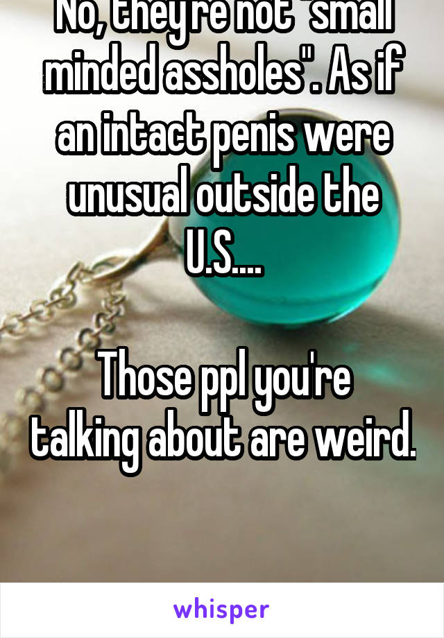 No, they're not "small minded assholes". As if an intact penis were unusual outside the U.S....

Those ppl you're talking about are weird. 

