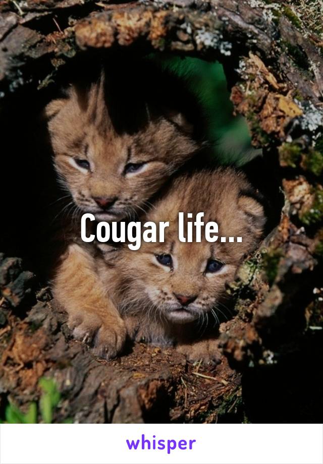 Cougar life...