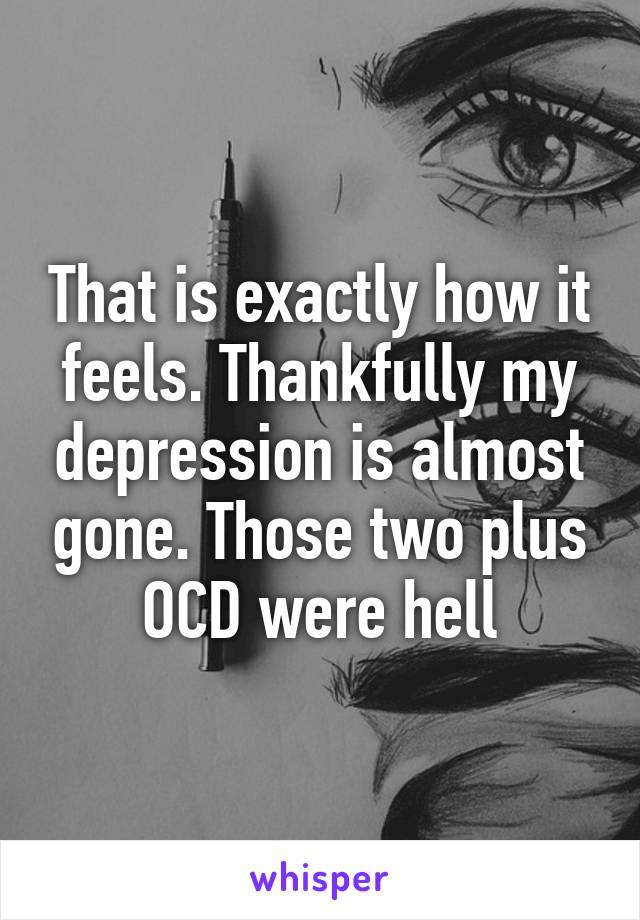 That is exactly how it feels. Thankfully my depression is almost gone. Those two plus OCD were hell