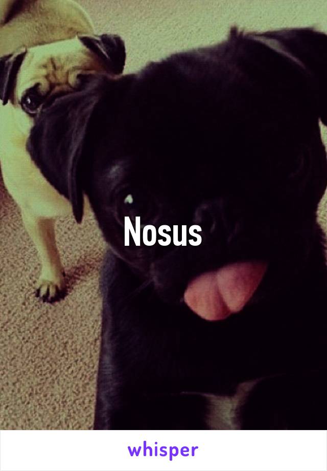 Nosus