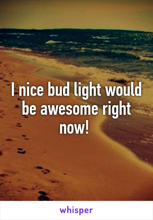 I nice bud light would be awesome right now! 