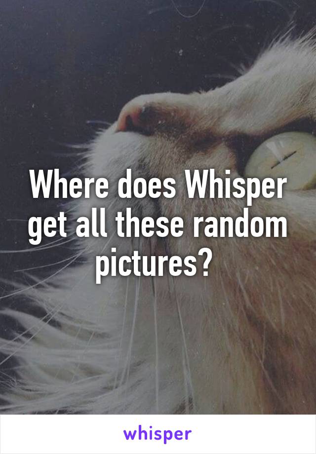 Where does Whisper get all these random pictures? 