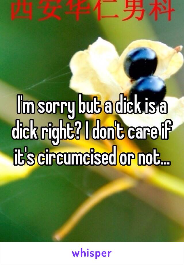 I'm sorry but a dick is a dick right? I don't care if it's circumcised or not...