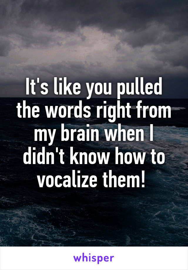 It's like you pulled the words right from my brain when I didn't know how to vocalize them! 