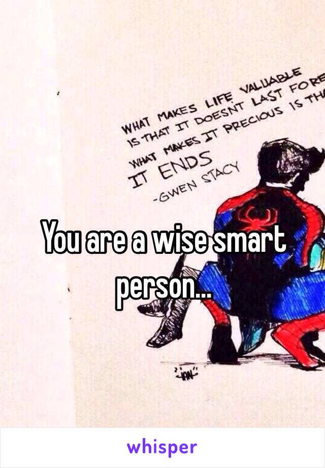 You are a wise smart person...