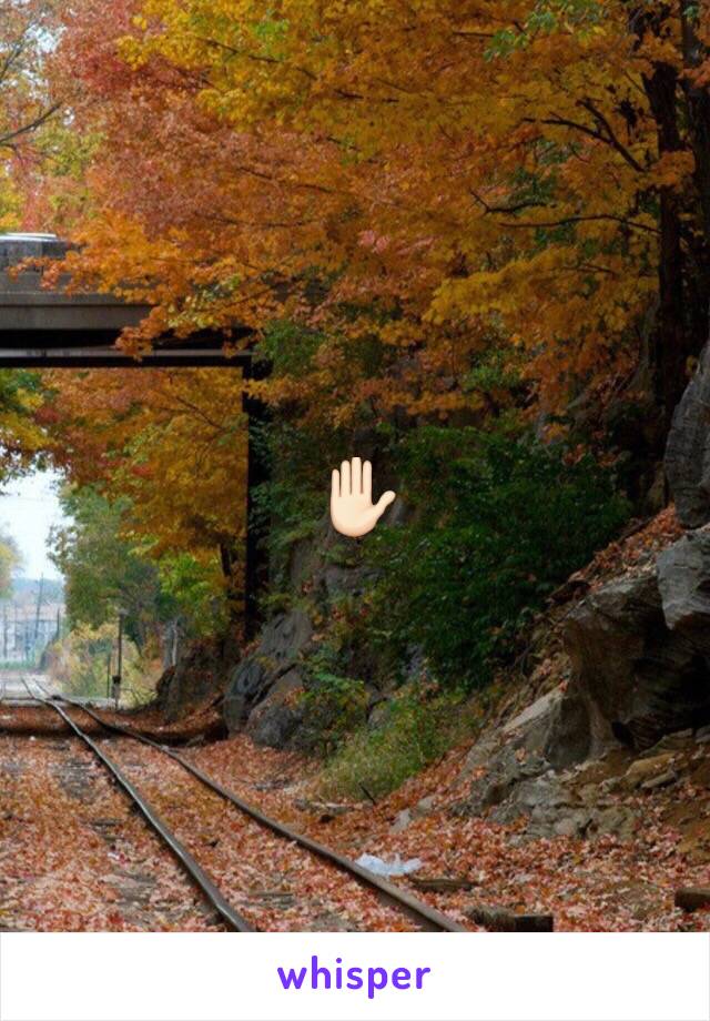 ✋🏻