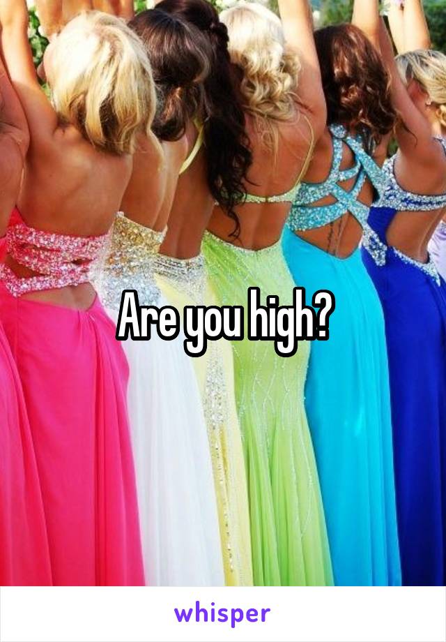 Are you high?