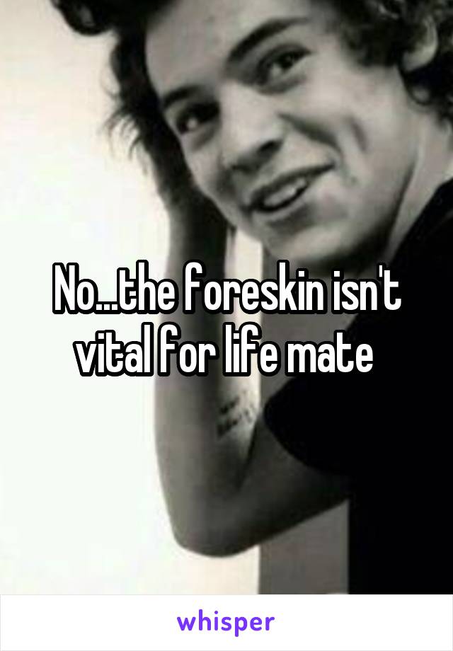 No...the foreskin isn't vital for life mate 