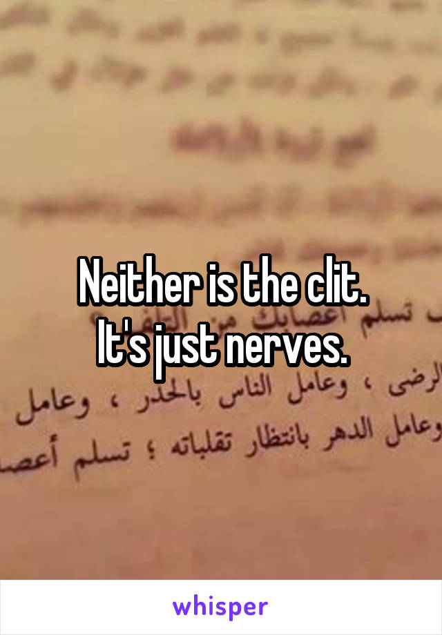 Neither is the clit.
It's just nerves.