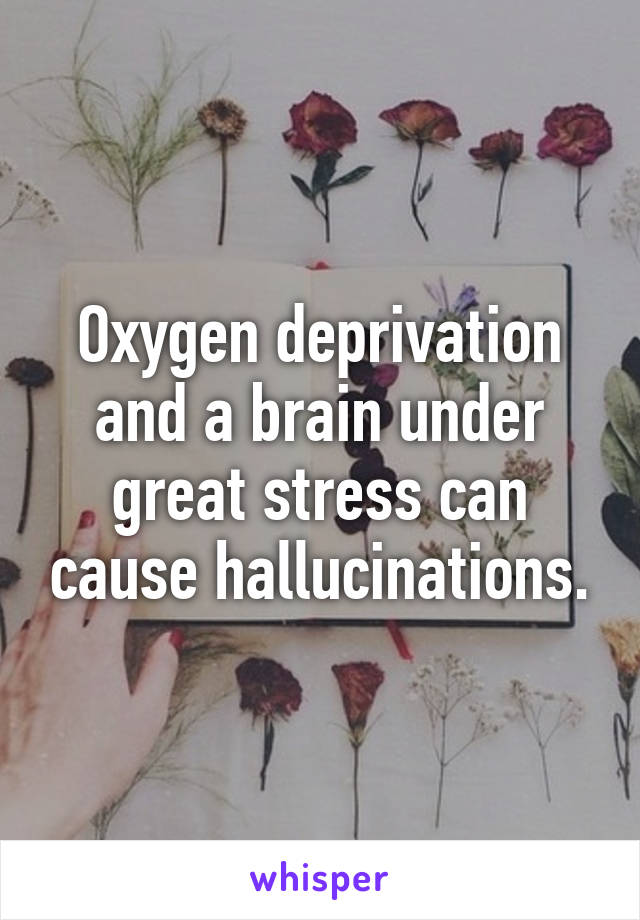 Oxygen deprivation and a brain under great stress can cause hallucinations.