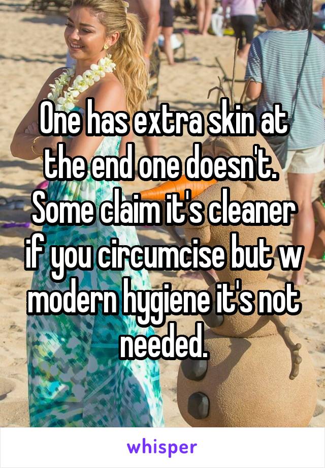 One has extra skin at the end one doesn't.  Some claim it's cleaner if you circumcise but w modern hygiene it's not needed.