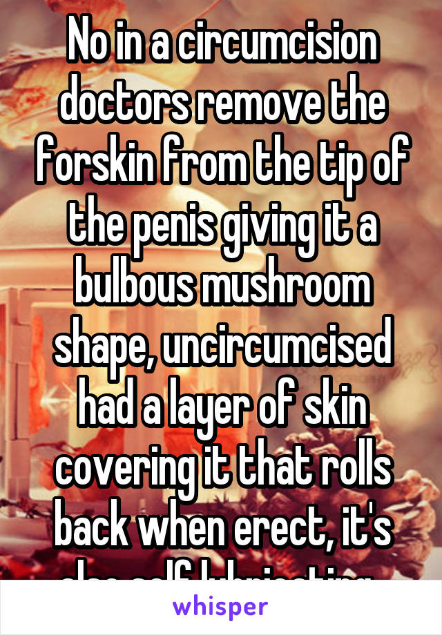 No in a circumcision doctors remove the forskin from the tip of the penis giving it a bulbous mushroom shape, uncircumcised had a layer of skin covering it that rolls back when erect, it's also self lubricating. 