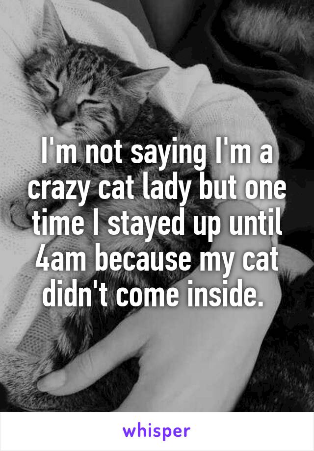 I'm not saying I'm a crazy cat lady but one time I stayed up until 4am because my cat didn't come inside. 