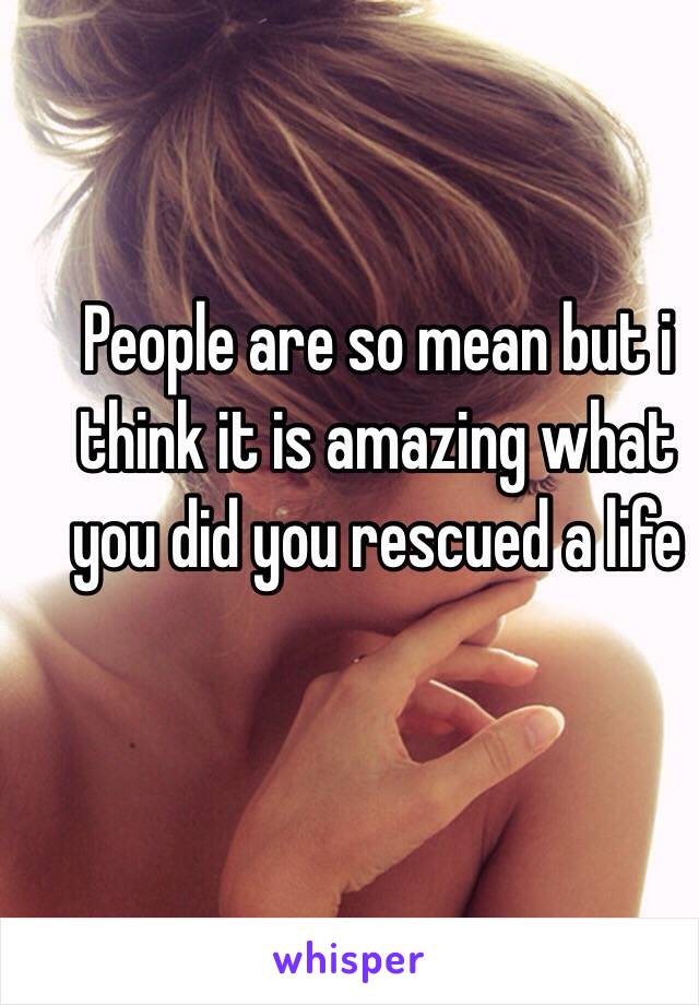 People are so mean but i think it is amazing what you did you rescued a life