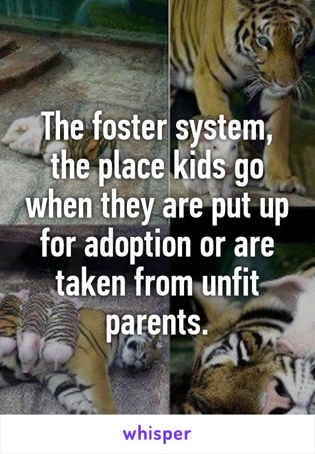 The foster system, the place kids go when they are put up for adoption or are taken from unfit parents.