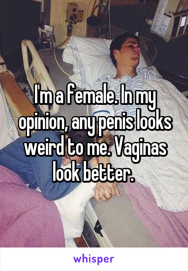 I'm a female. In my opinion, any penis looks weird to me. Vaginas look better. 