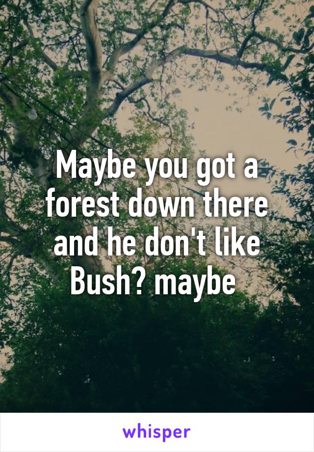 Maybe you got a forest down there and he don't like Bush? maybe 